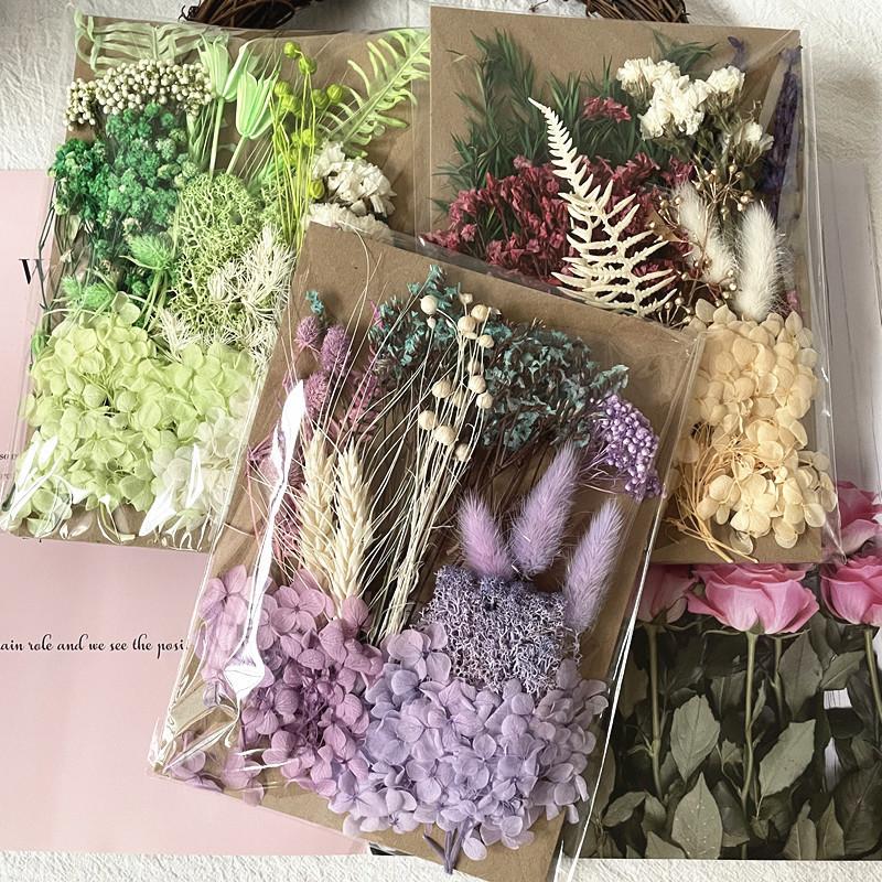 Exquisite Eternal Dry Flower Ancient Style Group Fan Material Pack for Children's Handmade Exclusive Decoration Dried Flowers