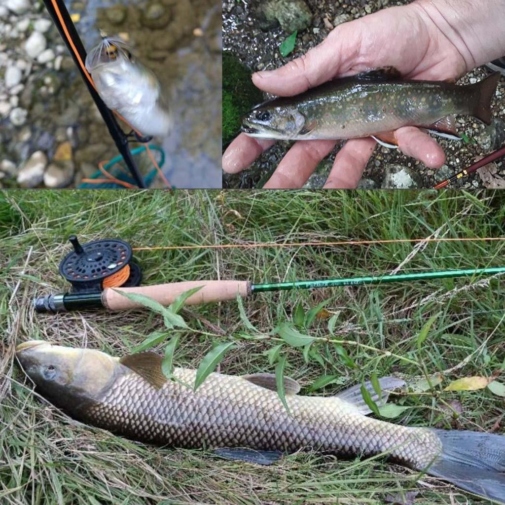 Fly Fishing Flies Kit, 24-120Pcs Handmade Fly Fishing Gear with Dry/Wet Flies, Streamers, Fly Assortment Trout Bass Fishing with Fly Box