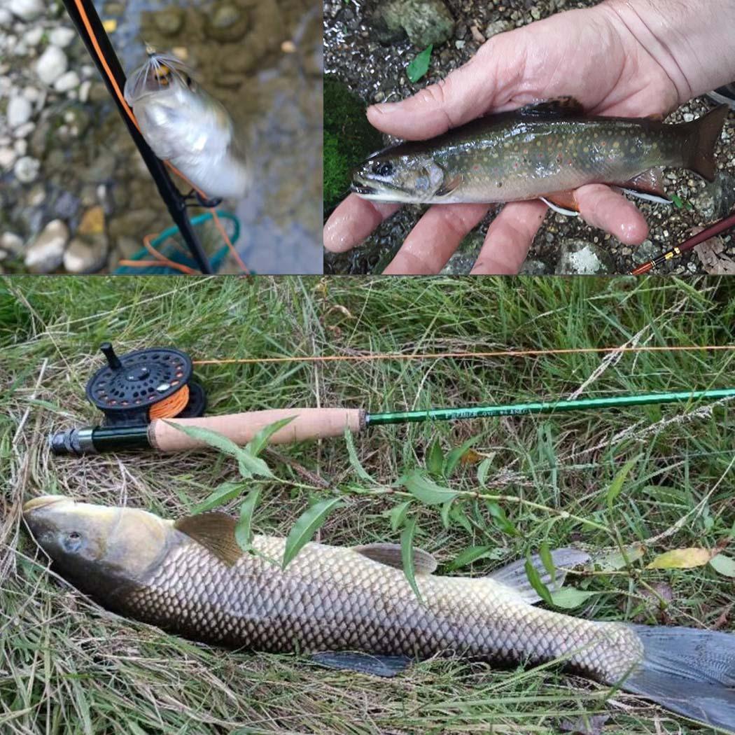 Набор нахлыстовых мух — фото 19