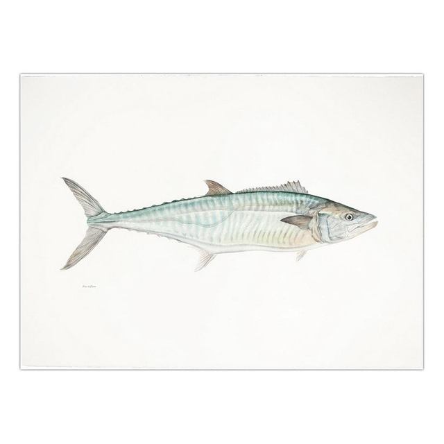 Decorative Painting Retro Fish Restaurant Hotel Paintings Animal Print Wall Pictures for Living Room Flatfish Wall Art Canvas