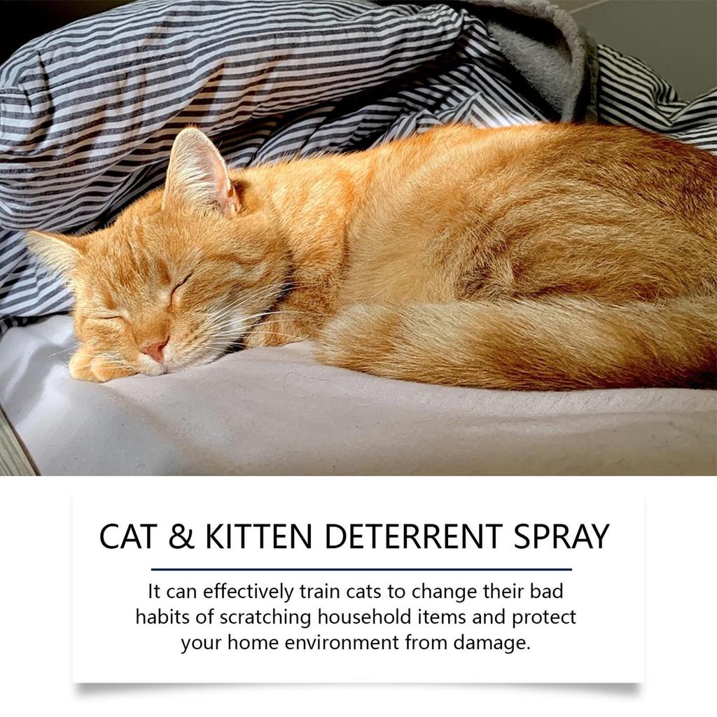 Spray Anti-arañazos para Gatos 100ml Fragancia a Naranja Protectores de Sofás y Cortinas Zona Restringida Detiene Arañazos de Gatos y Perros Ayuda de Entrenamiento para Mascotas