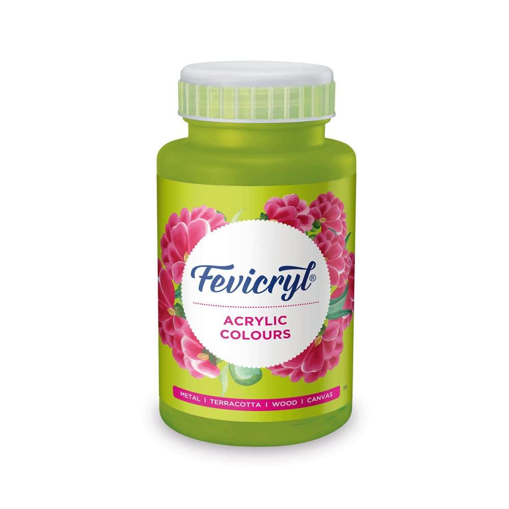 Fevicryl Acrylic Colour Greenery 500ml Bottle Rich Pigment Paint for Canvas Wood Metal DIY Art & Craft School Projects Artists