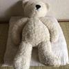 [USED] teddy bear