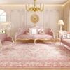 French Style Bedroom Decor Pink Carpet Large Area Carpets for Living Room Fluffy Soft Cloakroom Floor Mat Thick Plush Lounge Rug