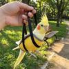 Breathable Mesh Parrot Hand Carrier Bag Portable Parrot Anti Escape Vest  Birds Walking