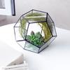 Stilvolle geometrische Form Glas Blumentopf Sukkulenten Pflanze Pflanzer Container Landschaft Dekoration