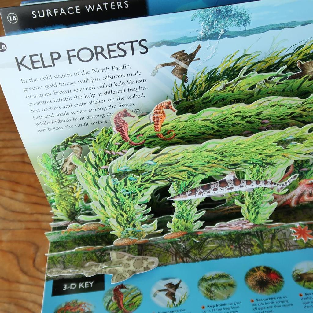 [USED] Sale! 3-D Explorer: Oceans - A guide to the mysteries of the ocean