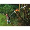 Elagueuse électrique sur perche électrique BLACK+DECKER - PS7525-QS - 800W - 25 cm - Manche extensible jusqu'à 2,44 m