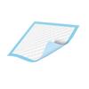 Absorbent Bed Pad 60cm x 60cm Safeline Pad 1092ml 25 Pcs