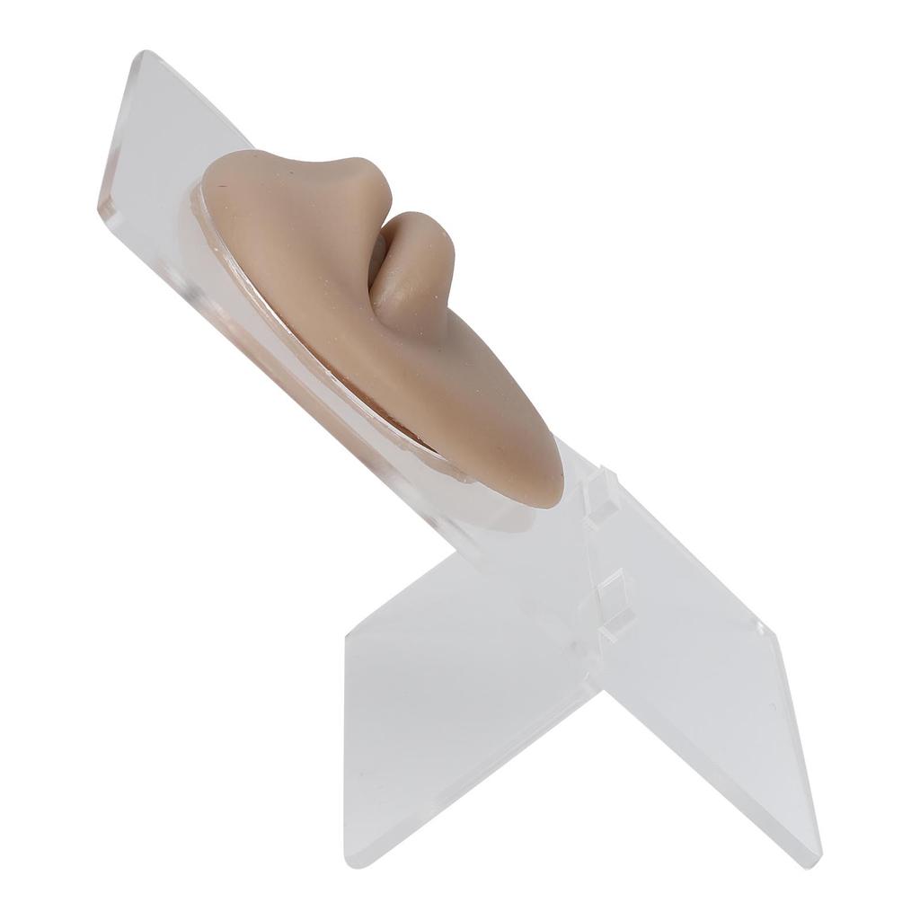 Silicone Lips Model 3D High Simulation Lifelike Elastic Lip Piercing Tattoo Practice Fake Lip Model for Training
