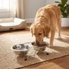 Anti-leak Stainless Steel Pet Bowl Durable Pet Drinking Bowl Cat Double Bowl  Pet Feeding