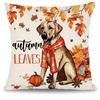 Home Decor Dog & Autumn Leaves Hello Fall Cushions Pattern Cushion Cover Suitable For Sofa Bedroom Car Pillow Cover