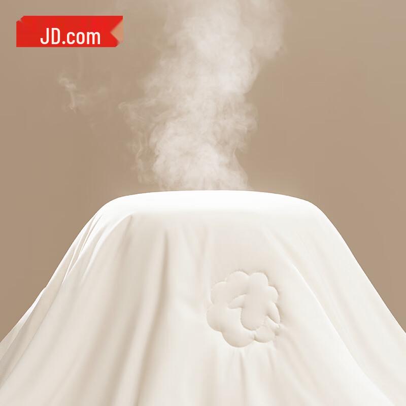 Dorset 100% Australian Wool Winter Quilt