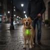 Double,sided Reflective Pet Collar/tag For Nighttime Visibility.