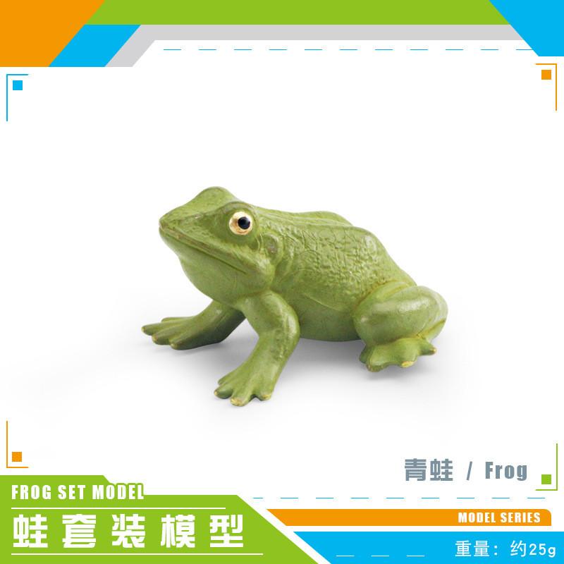 High Quality Decorative Frog Statues Including Red Eyed Tree Frog And Darwin Frog Models
