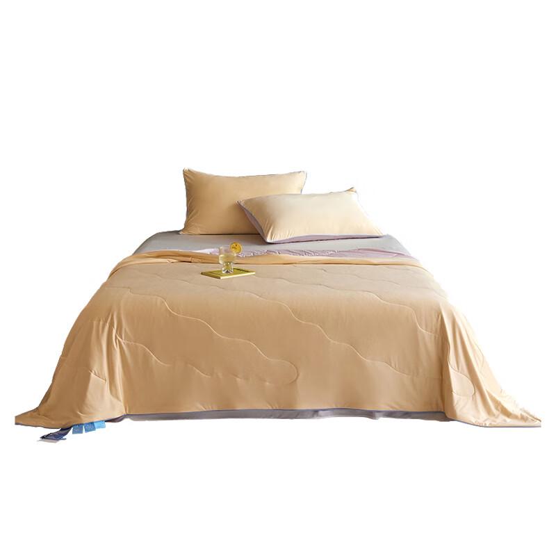 

CTDC250287 Cooling Summer Quilt