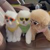 Doll Accessory 20CM Doll Sunglasses Plastic Transparent Plastic Glasses  Kids Gift