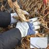 Quick Dry Professional Safety Gloves Adjsutable Strap Closure Enhanced Grip