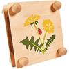 Presse À Feuilles Et Fleurs - EICHHORN - 100004587 - Bois - Créatif - Durable