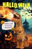 FUNKY Kobo Inflatable Dinosaur Tyrannosaurus Rex Halloween Costume Costume, Costume,