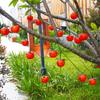 Waterproof Solar Fruit String Lights: Apple & Orange Harvest Festival Decoration