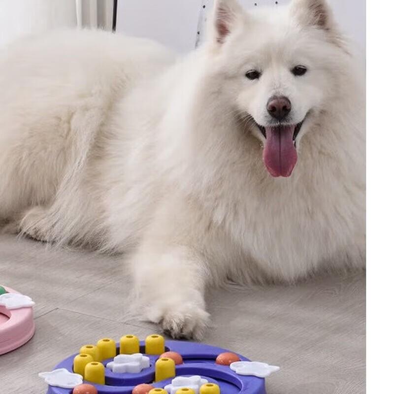 Yun Xiaoshi Pet Slow Feeder Maze Bowl