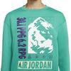 Jordan Air Jordan Mountainside Sweatshirts Men's Green Crew Neck Moderate Regular CT3492-370