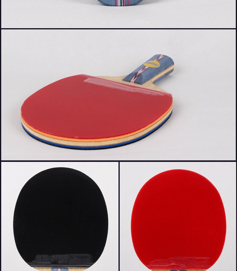 DHS Hurricane PRO Offensive Table Tennis Racket - Dragon Single Racket Set with Gift Box