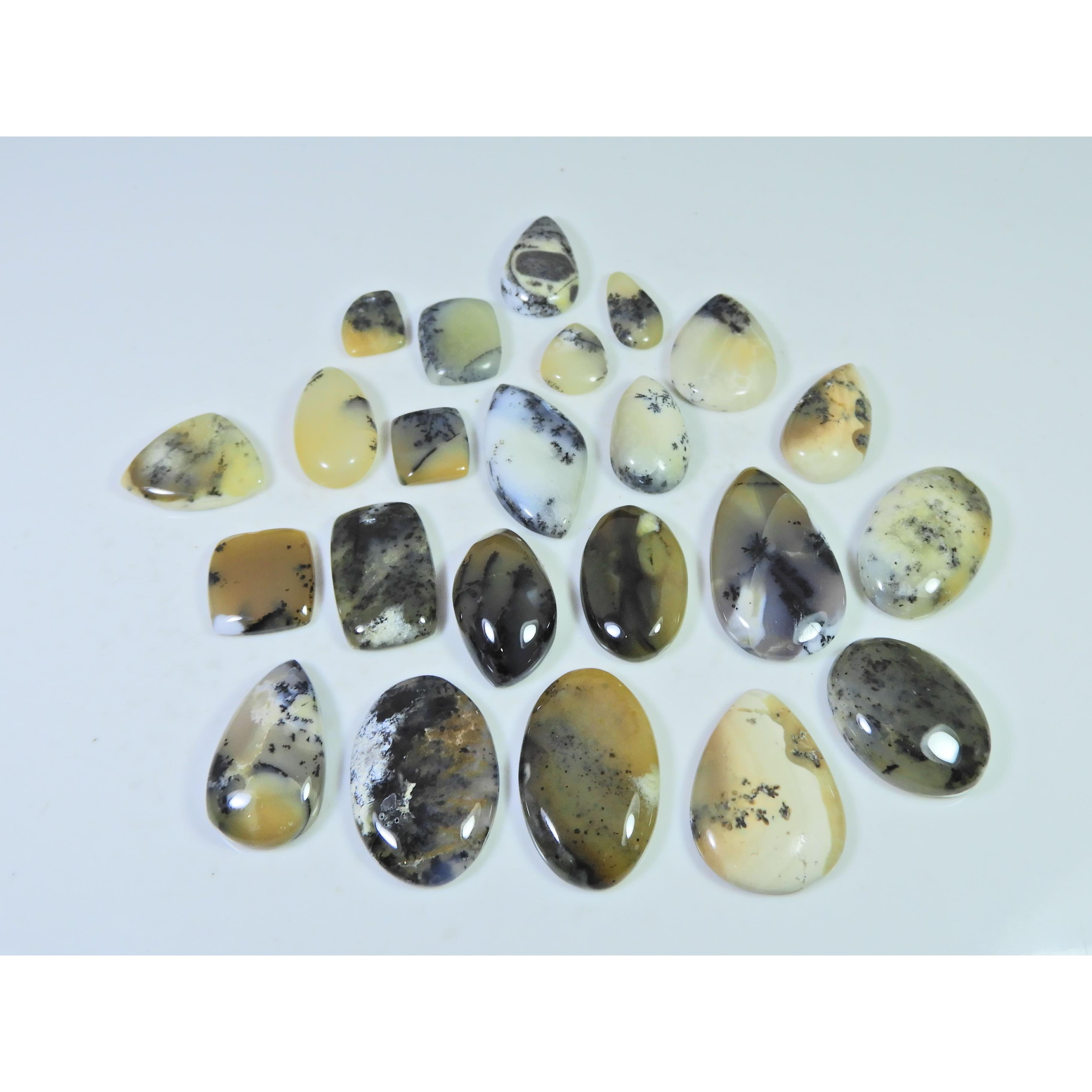 320Cts. Natural Dendrite Opal Agate Mix Cabochon Loose Gemstone 23Pcs Lot C-1992