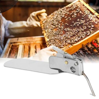 Professional Beekeeping Grafting Tool For Queen Pupa Transfer Beekeepers Spring