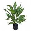 Diffenbachia Artificial Plant Flower In Pot 65