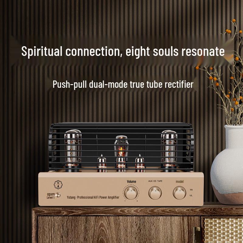 Youtang MK8700 Hi-Fi Tube Amplifier (CN version)