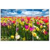 Three Piece Picture Canvas Print Colourful Flowers Meadow