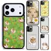Guinea Pig Hamster Cute Phone Case for iPhone 17 16 15 Pro Max Air 14 13 12 11 Plus Shockproof Cover
