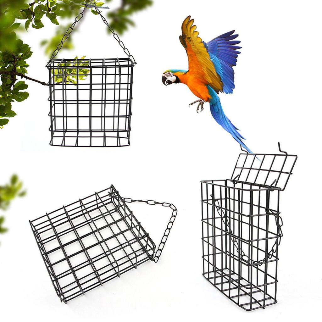 Wild Bird Suet-Basket Feeders for Parrots Sparrows Garden for Outdoor Birds Metal Bird Feeder Wild Parrots Feeder