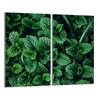Glass Protective Stovetop Panel 2x30x52 Melisa