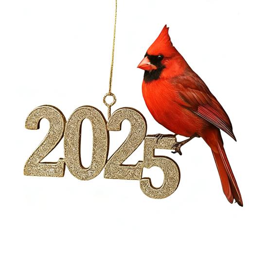 Red Bird Christmas Countdown 2025 24 Days Acrylic Bird Ornaments with Hooks Festive Holiday Decor for Tree & Shelf Unique Gift