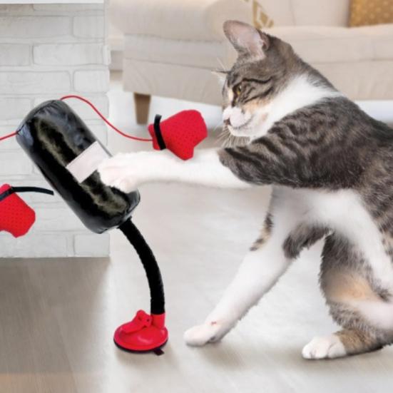 Interactive Cat Punching Bag Cat Boxing Toy with Springy Bobbing Action Dangling Boxing Gloves Punching Bag Play Gym