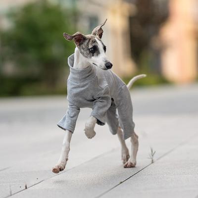 Four-legged Bottoming Shirt, Universal In Autumn and Winter, Dog Turtleneck Loungewear, Dust-proof Clothing, Low-saturation Pet Dog Clothing