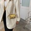 Trendy Mini Shoulder Bag Casual Chain Messenger Bag Daily Commuting Bag Lipstick Coin Purse