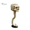 Gothic Home Decor Skull Spine Planter, Resin Skeleton Planter Pot, Horror Halloween Dark Aesthetic Sculpture Flower Vase, Spooky Gifts For Women