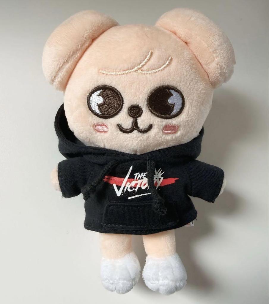 [USED] Anonymous Shipping Stray Kids Puppy Plush Toy SKZOO