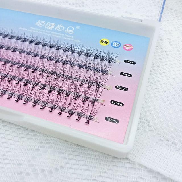 Aimo - Natural Crisscross Cluster False Eyelashes