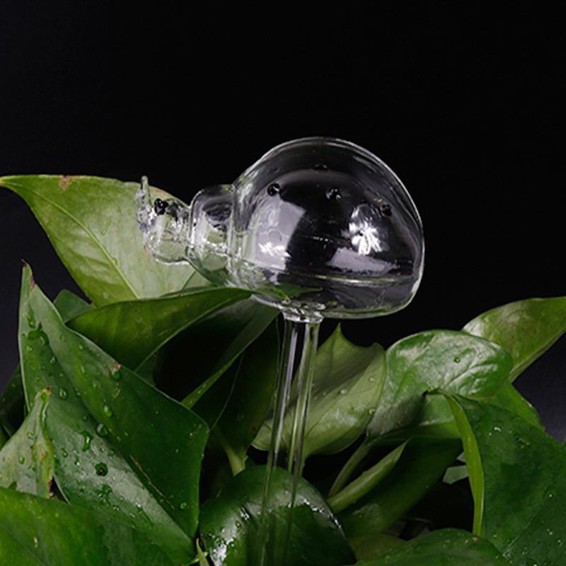 11 Types Glass Plant Flowers Water Feeder Automatic Self Watering Devices