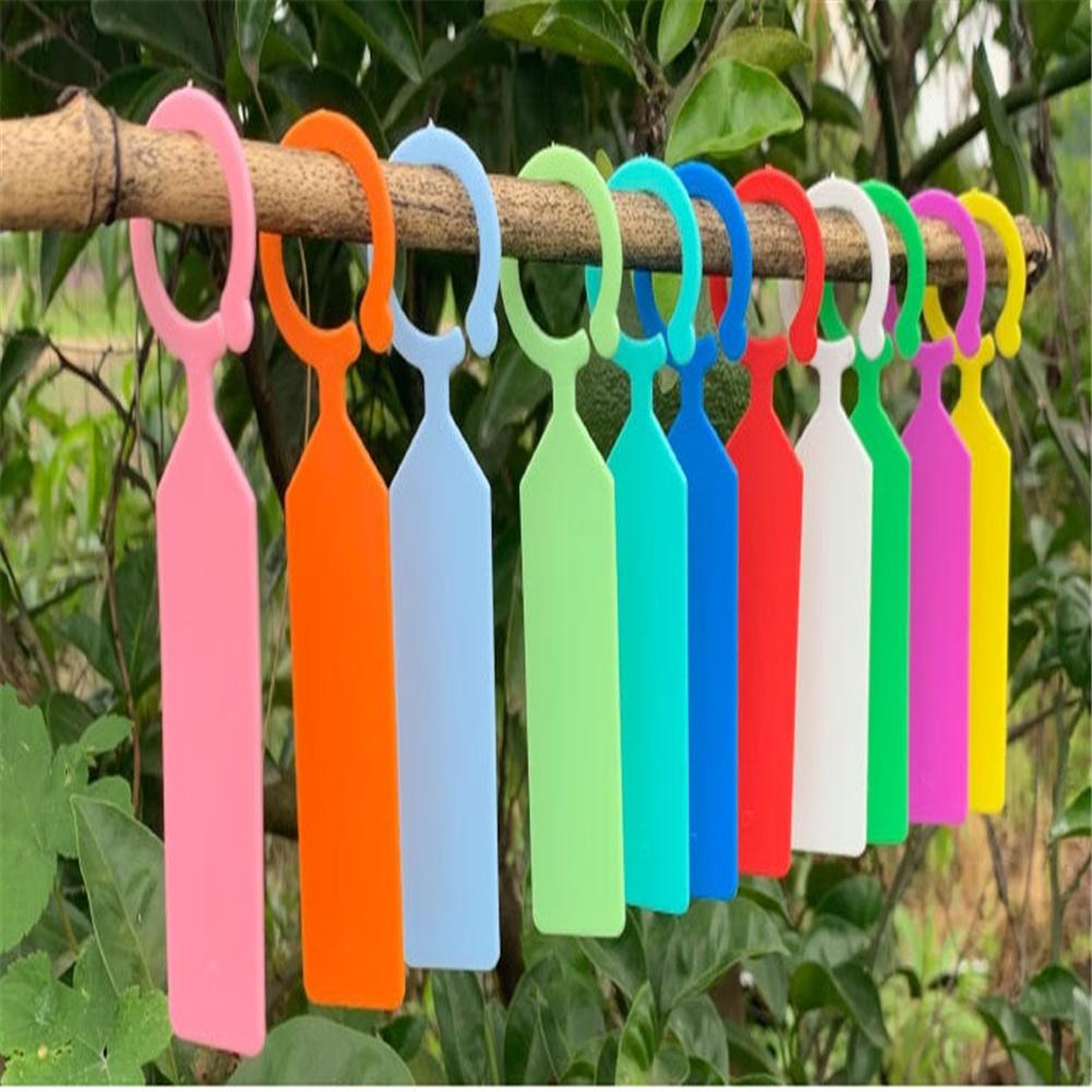 100pcs Plant Tagging Fruit Tag Plastic Hanging Plant Tag Nursery Garden Label Pot Marker