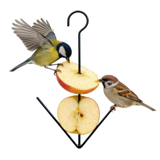 Oriole Bird Feeder Outdoor Hanging Orange Fruit Food Holder with Hook Weather-proof Outside Garden Metal Hummingbird Feeding
