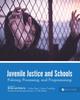 The Juvenile Justice and Schools : Policing, Processing, and Programming Book