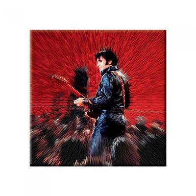 Elvis Presley Shine Fridge Magnet