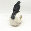Halloween Raven Skull Decor, Resin Crow Head Ornament, Spooky Yard Party Props, Gothic Home Accent