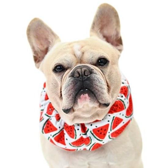 Cool Neck Dog All 23 Patterns Summer Heat Countermeasure Cooling Lead Hole Included Ice Pack Back Fabric Waterproof Aluminum French Bulldog Fureblu L